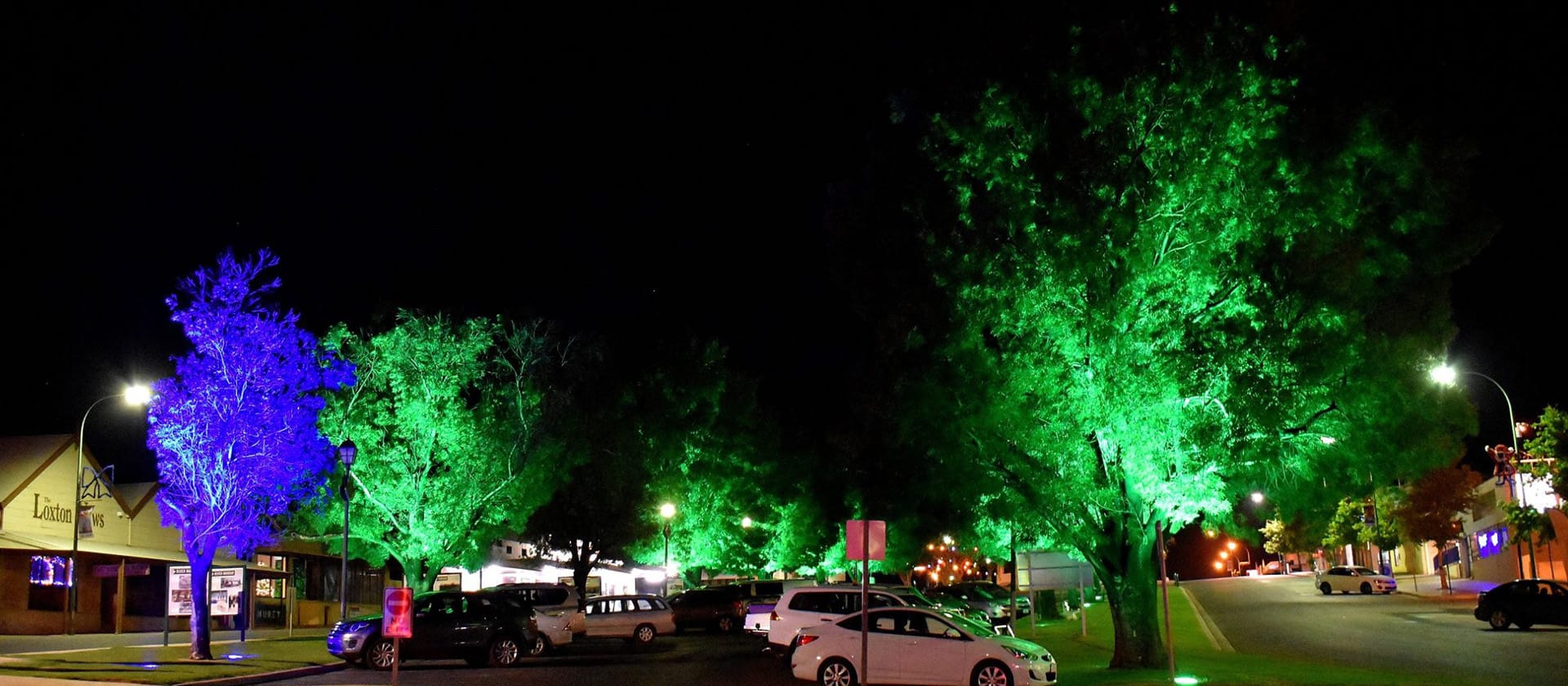 Trees in Loxton lit up for Christmas